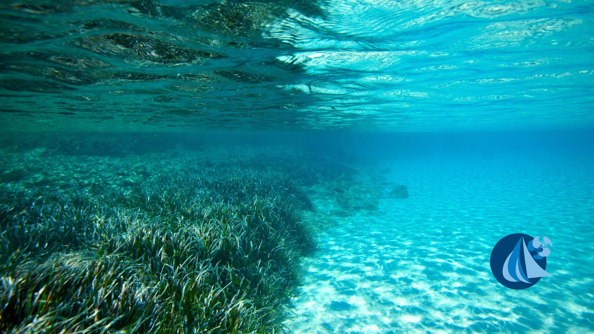 ICOMIA Strategic Sponsorhorship Opportunities 2026