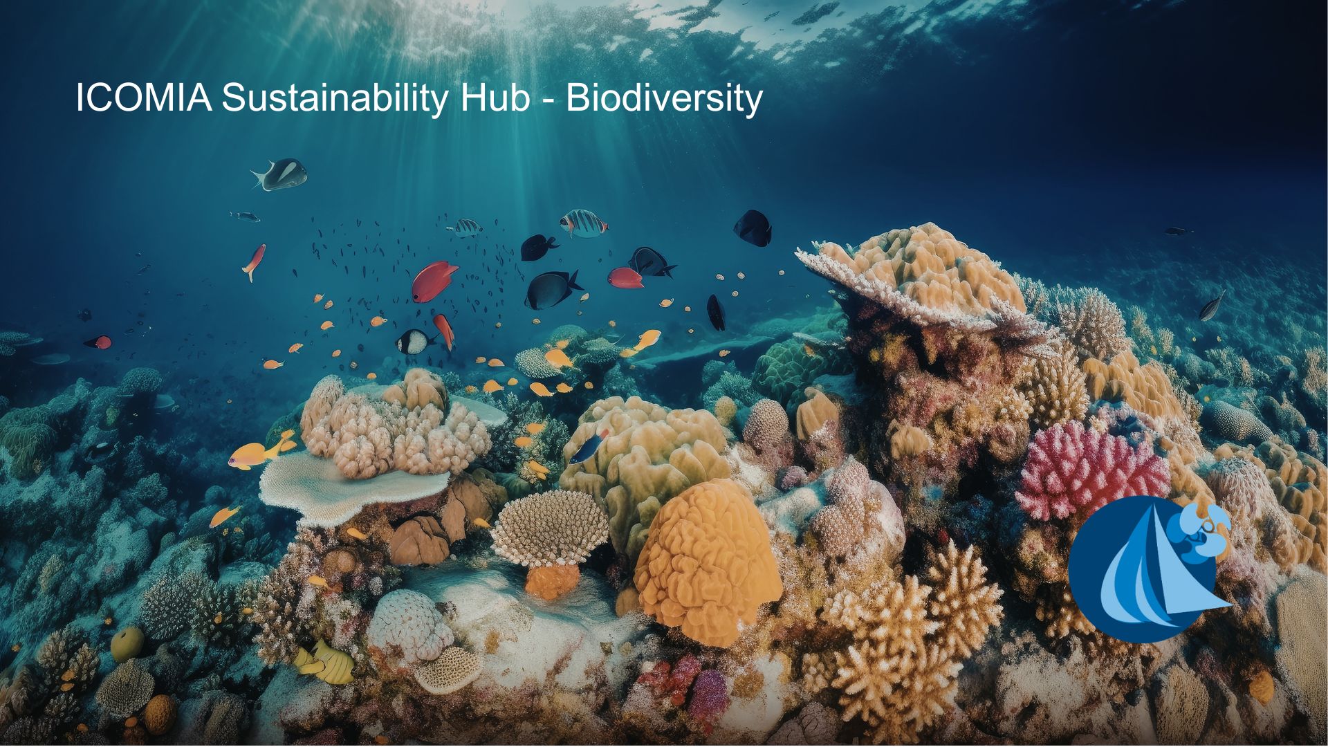 ICOMIA Sustainability Hub - Biodiversity
