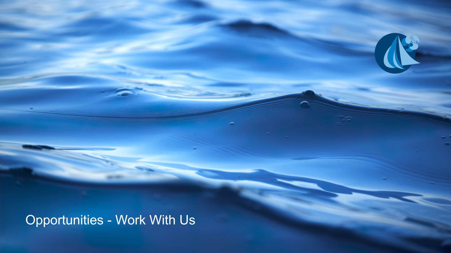 Opportunities - Work With Us