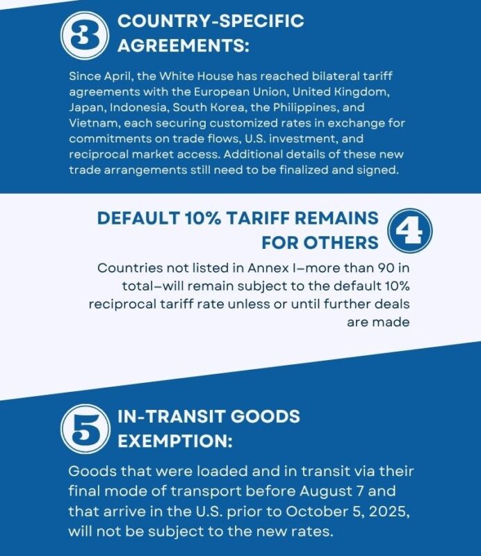 White Navy Simple Illustrated Cute Online Business Infographic 2